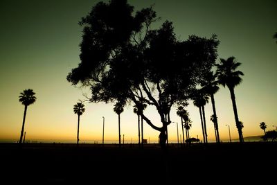 Silhouette of palm trees at sunset