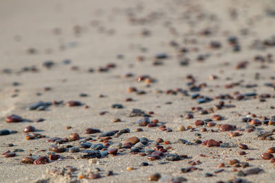 Full frame shot of sand at beach
