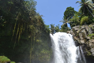 Scenic view of waterfall