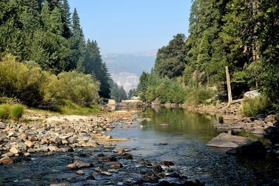 Scenic view of landscape against clear sky