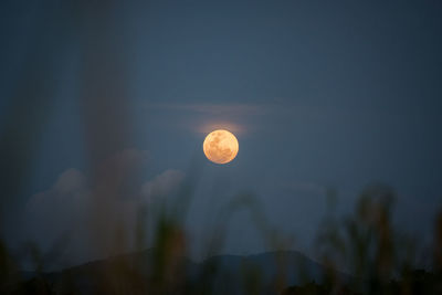 Low angle view of moon against sky at night