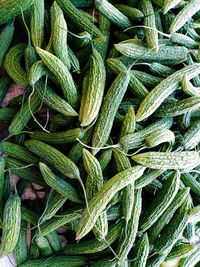High angle view of vegetables