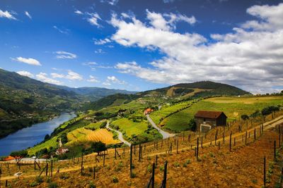 Terraced field by duoro river against sky