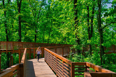 Wooden footbridge amidst trees in forest