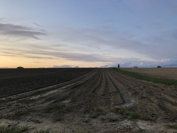 Scenic view of agricultural field against sky during sunset