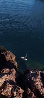 High angle view of birds flying over sea
