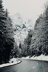 Snow covered road amidst trees in forest