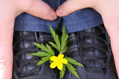 Close-up of hand holding flower