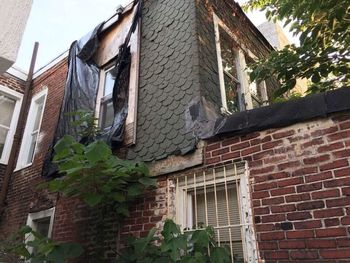 Low angle view of ivy on building