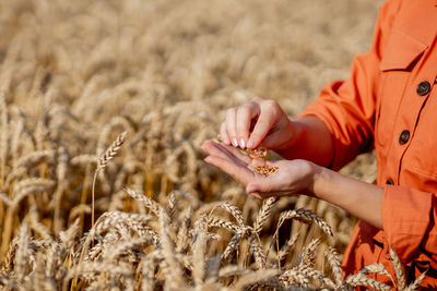 Cropped hand of woman picking flowers