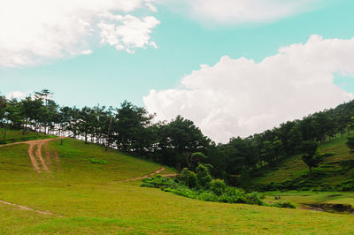 Scenic view of trees on field against sky