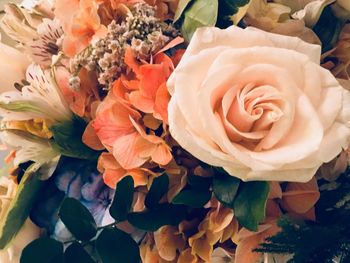 Close-up of rose bouquet