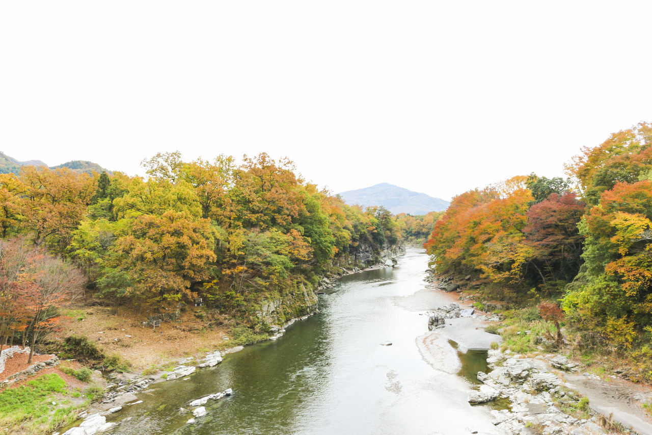 RIVER AMIDST TREES AGAINST CLEAR SKY DURING AUTUMN