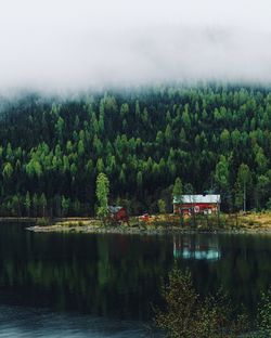 Scenic view of clouds over dense forest by lake