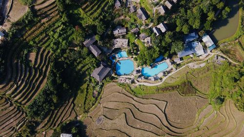 High angle view of agricultural field