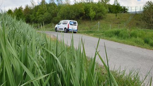 Car on road amidst field