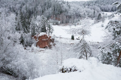 Snow covered land and trees against mountain