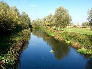 Scenic view of lake by trees against sky