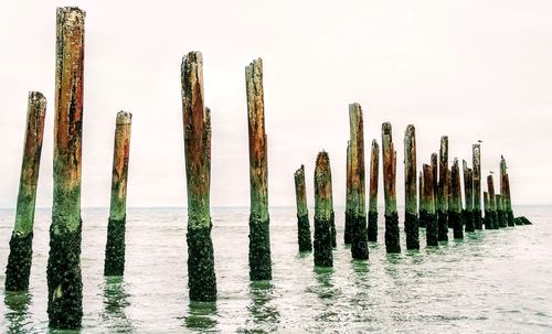 Close-up of wooden posts in water against sky