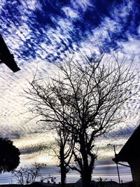 Silhouette bare tree against cloudy sky