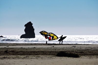 Horse on beach against clear sky