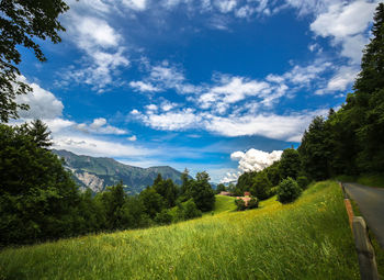 Scenic view of field against sky