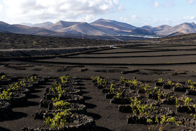 High angle view of townscape against sky