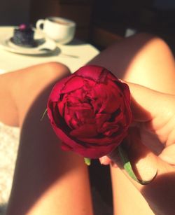 Cropped hand holding pink flower