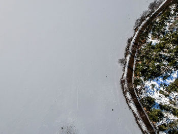 Trees on snow covered landscape