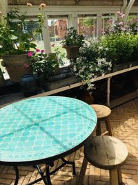 High angle view of potted plants on table against building