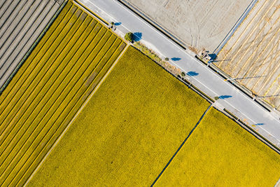 High angle view of yellow lights on farm