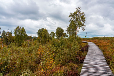 Footpath amidst trees on field against sky