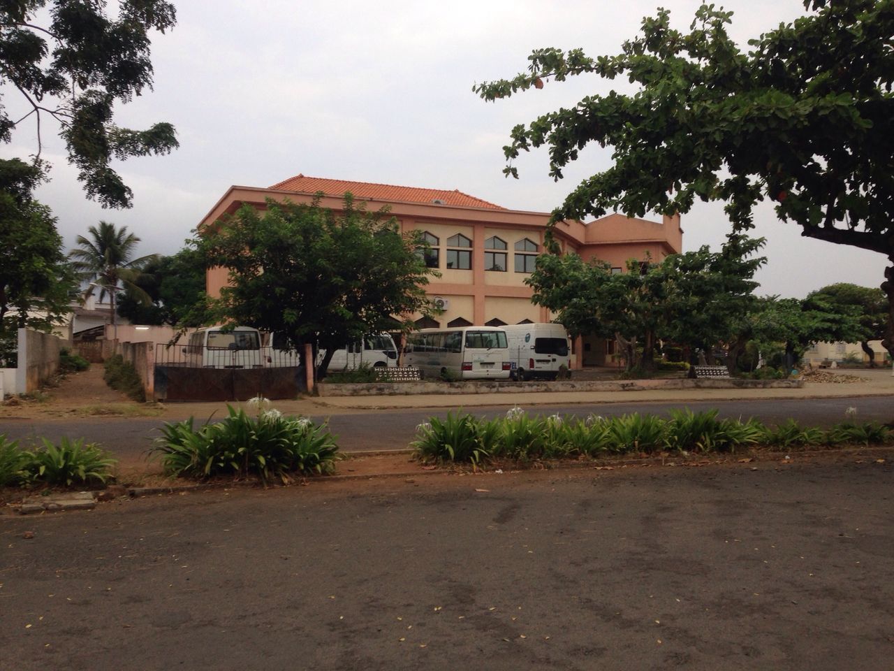 building exterior, architecture, built structure, tree, street, house, city, sky, road, residential building, palm tree, residential structure, growth, incidental people, car, day, outdoors, plant, transportation, sidewalk