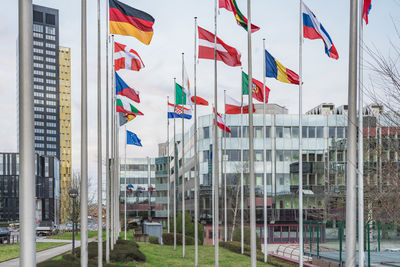 Flag on field