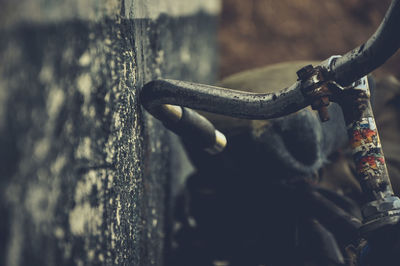 Close-up view of leaf