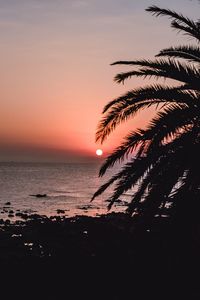 Silhouette palm tree by sea against romantic sky at sunset