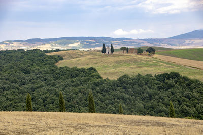 Scenic view of agricultural field against sky