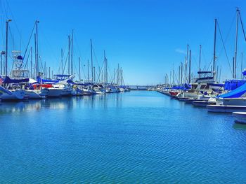 Sailboats moored in harbor against clear blue sky