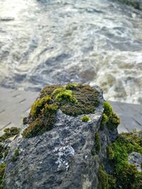 Rocks in sea