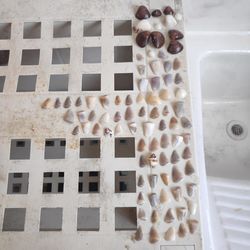 High angle view of bread on white window