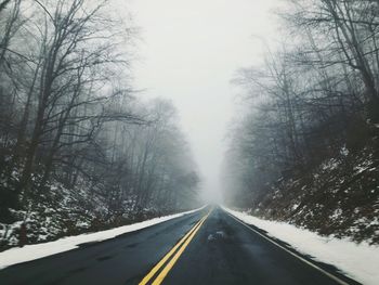 Road passing through forest