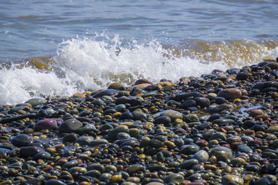 View of pebbles on beach