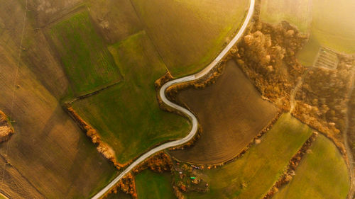 Aerial view of winding road