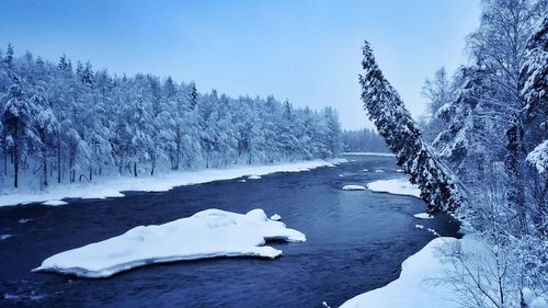 winter