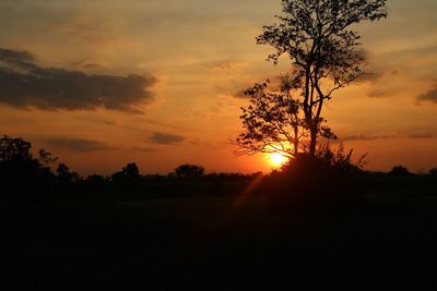 Silhouette trees on field against orange sky