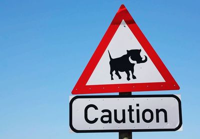 Low angle view of road sign against clear blue sky