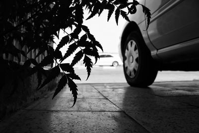 View of bicycle on sidewalk