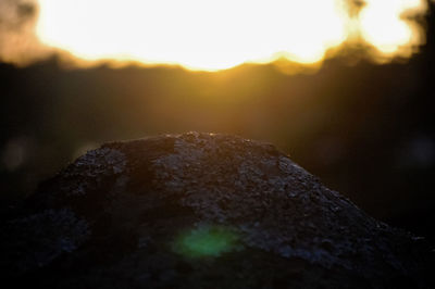 Close-up of rock against sky during sunset