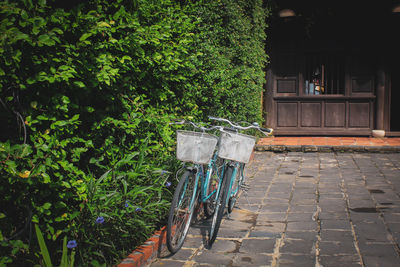 Footpath by building in city