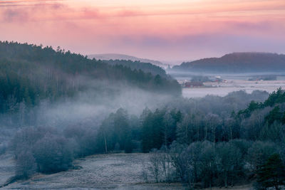 Panoramic shot of trees on landscape against sky during sunset